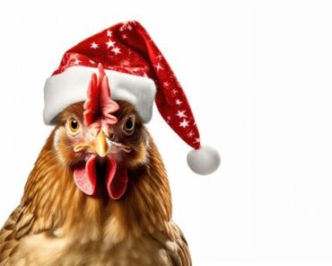 Why Now Is the Best Time to Start Preparing Christmas Groceries for Your Family Back Home